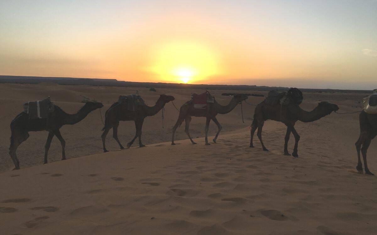Viagens Privadas em Marrocos: Descubra o Melhor do Deserto do Saara e das Cidades Imperiais Viagem de 4 Dias - De Marraquexe a Fes pelo Deserto
