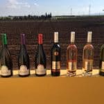 Perguntas sobre a cultura do Marrocos Vinho marroquino