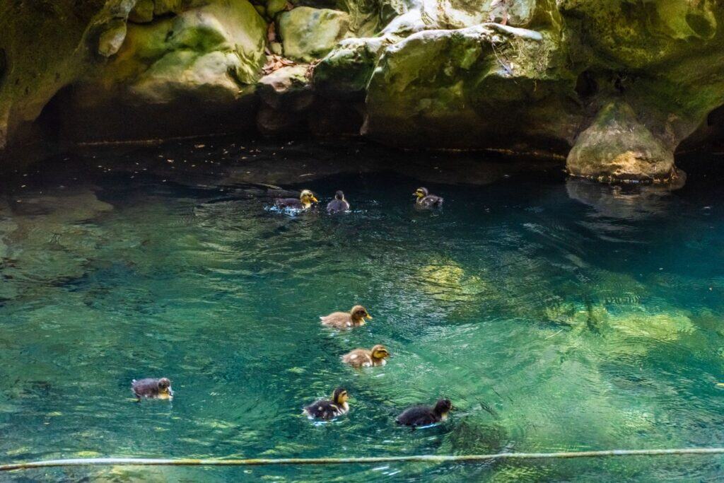 Melhores Vilas Escondidas no Norte de Marrocos Akchour