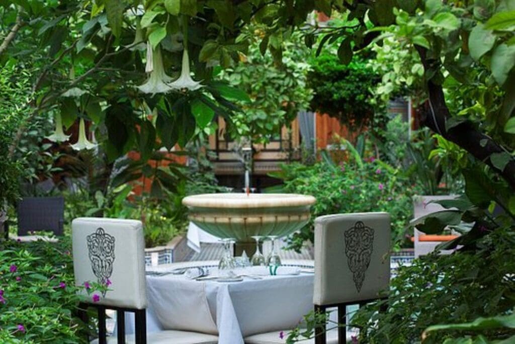 Os 10 Melhores Cafés em Fez: Sabores, História e Cultura no Coração do Marrocos Café Palais Amani