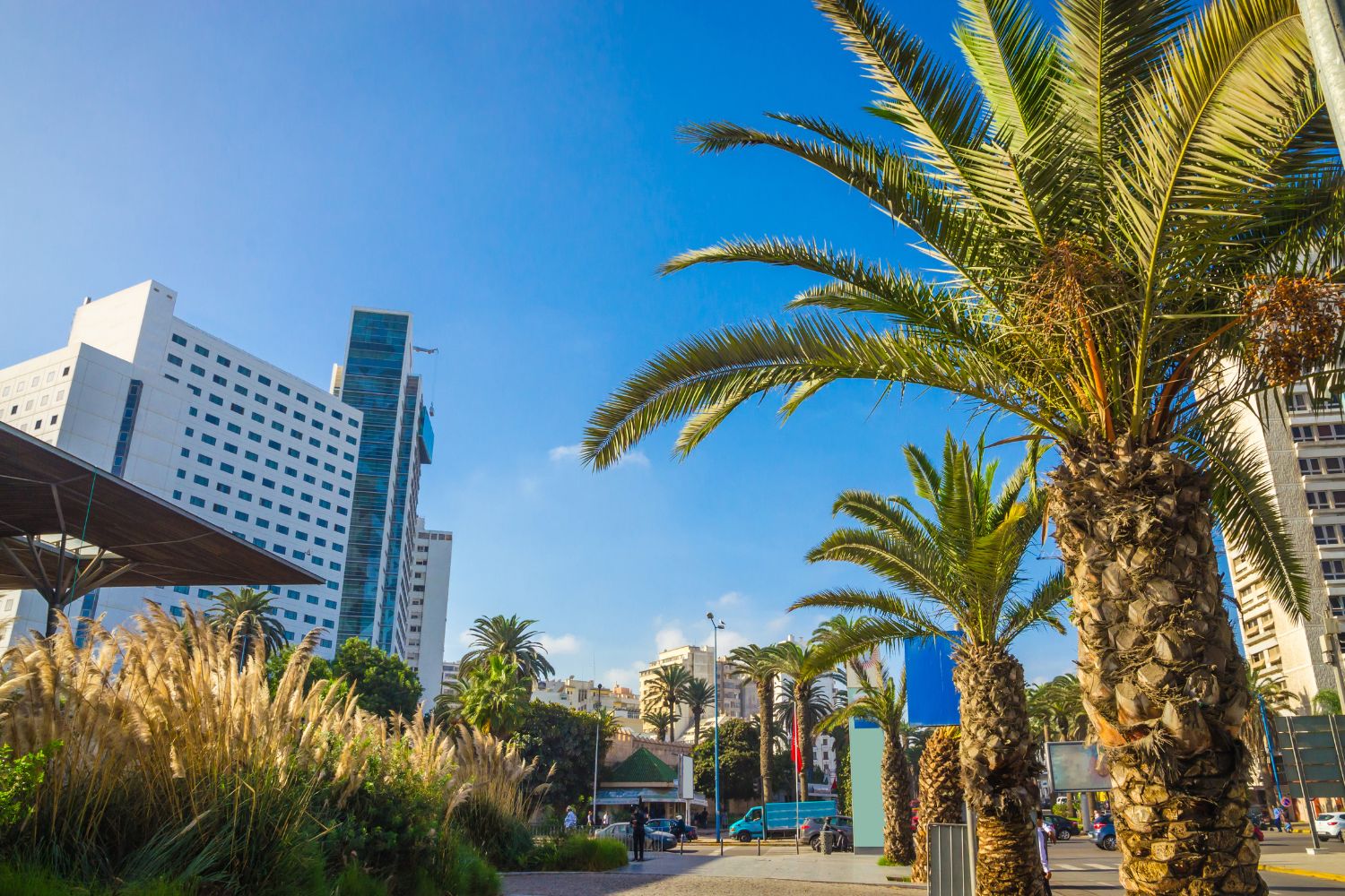 Turismo em Marrocos: O Guia Completo Para Viajar ao País das Mil e Uma Noites O Que Fazer em Casablanca com Crianças