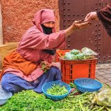 Passeios desde Marraquexe Marrocos